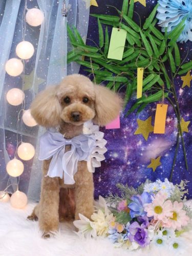 20250701なるくん